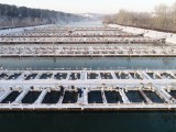 feb12ilya02