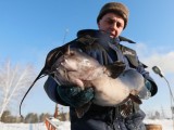 feb12ilya15